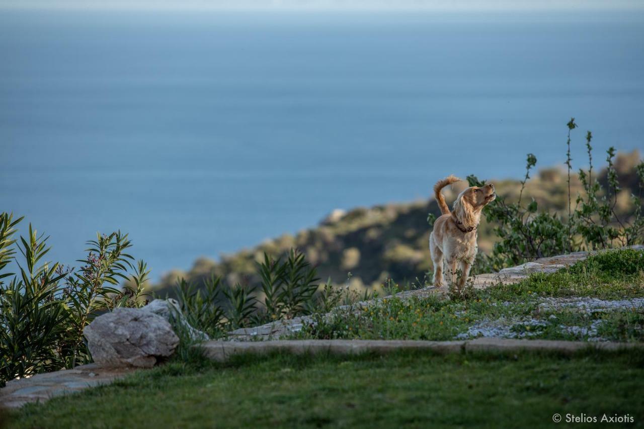 Aegean Panorama Apartments Akhladherí Exteriör bild